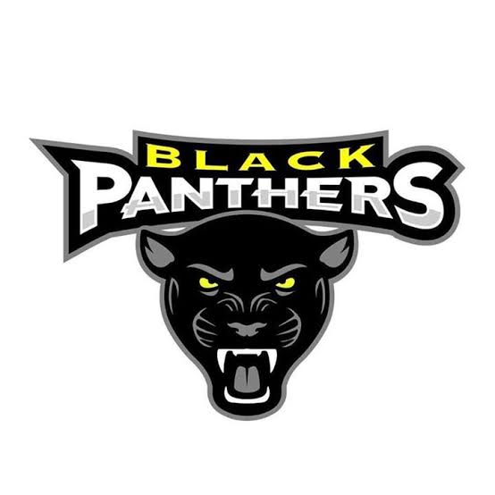 Black Panthers Logo